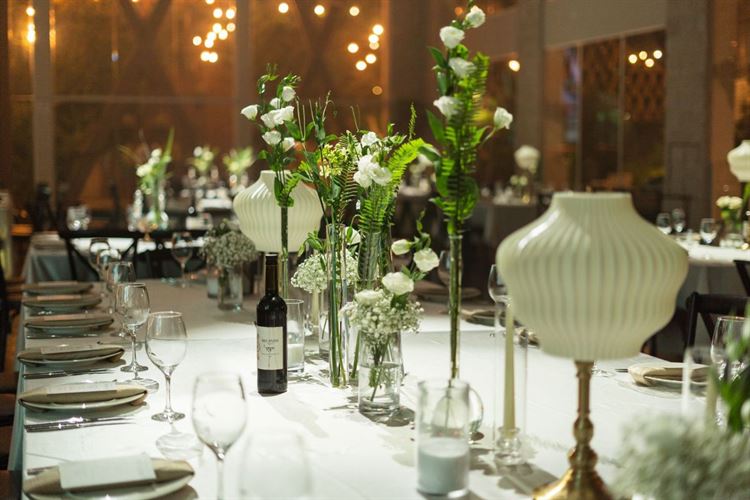 צילום: רומן מסטודיו פלואו