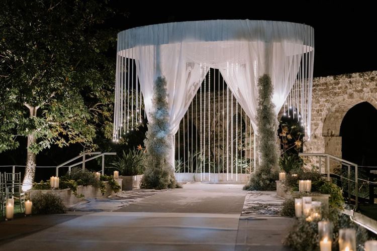 צילום: עידו סיטבון