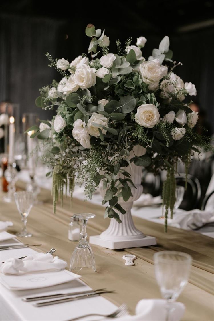 צילום: עידו סיטבון