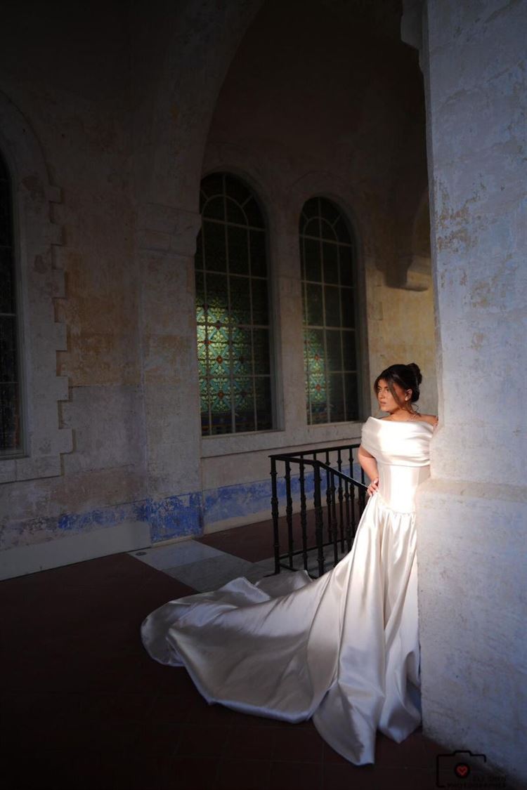 צילום: אלי חן