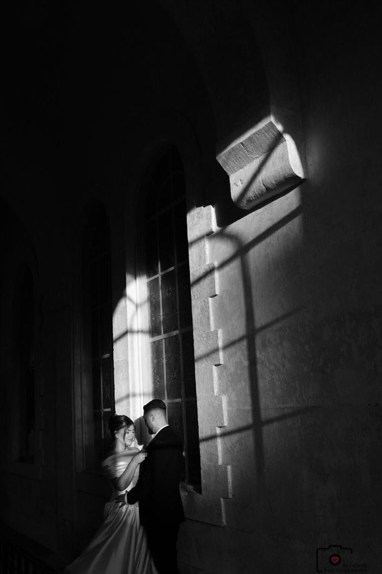 צילום: אלי חן