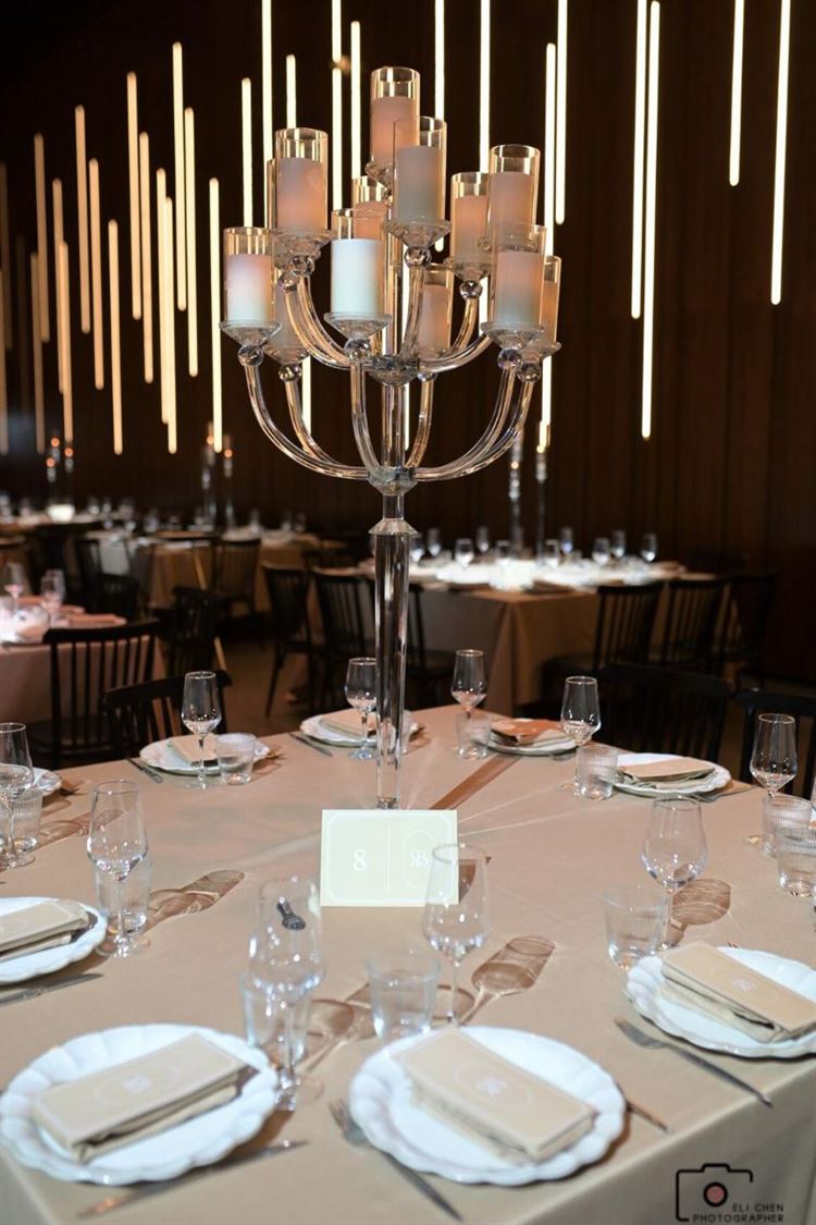 צילום: אלי חן