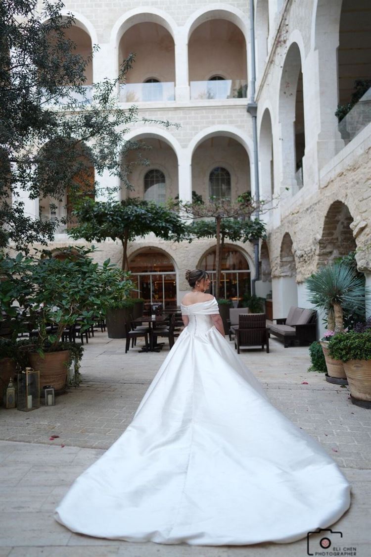 צילום: אלי חן