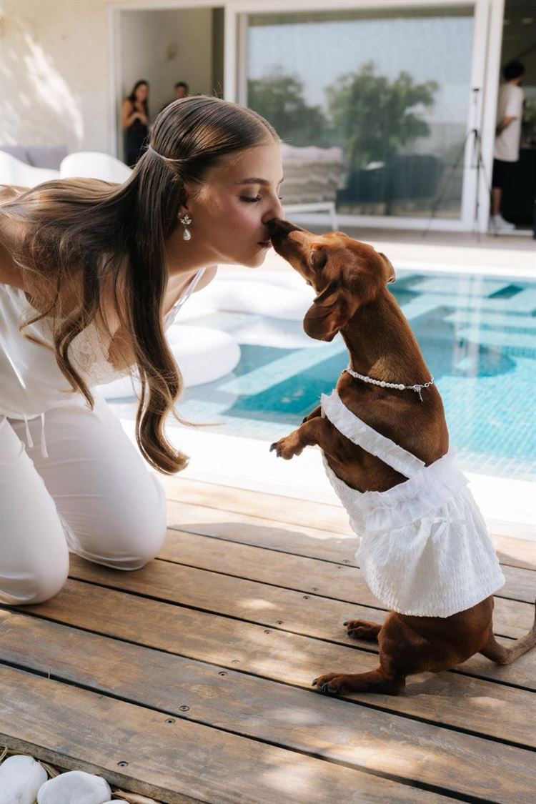 צילום: ווילו רוטר