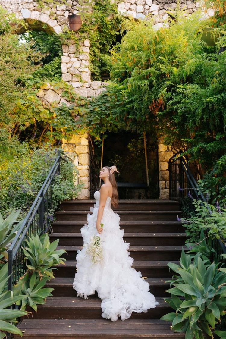 צילום: ווילו רוטר