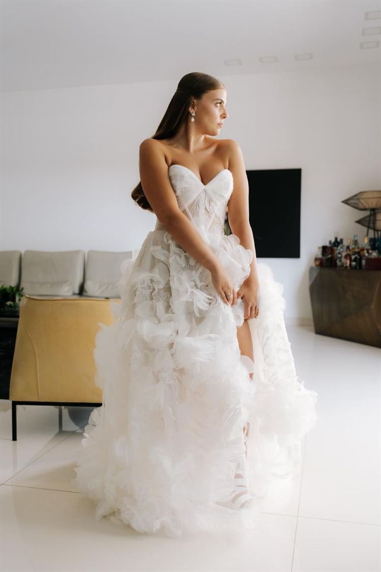 צילום: ווילו רוטר