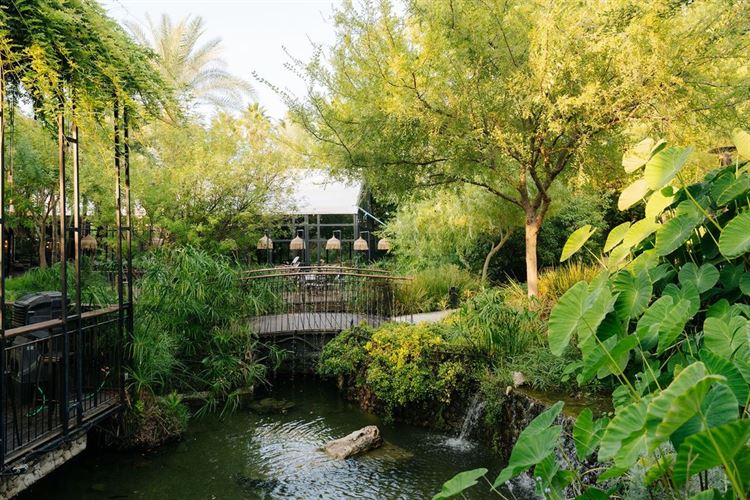 צילום: ווילו רוטר