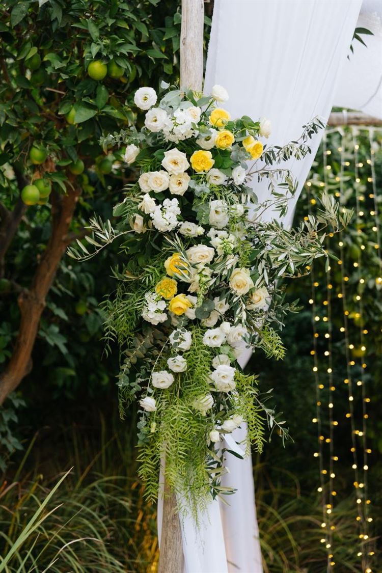 צילום: ווילו רוטר