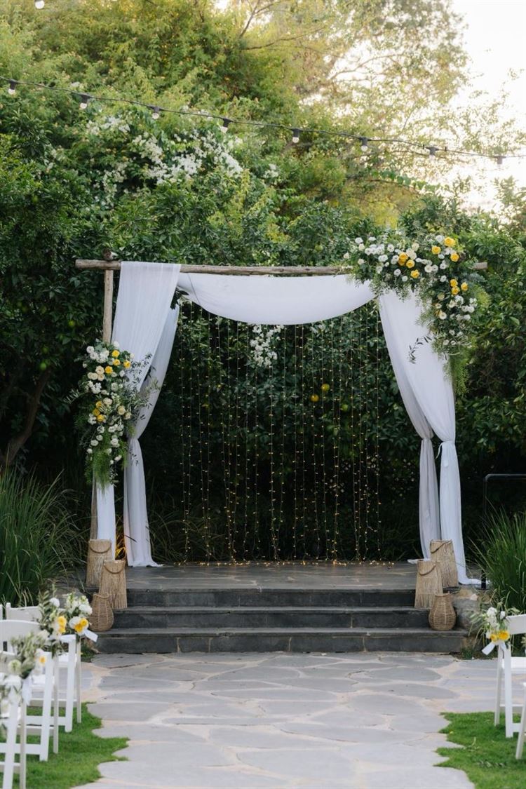 צילום: ווילו רוטר