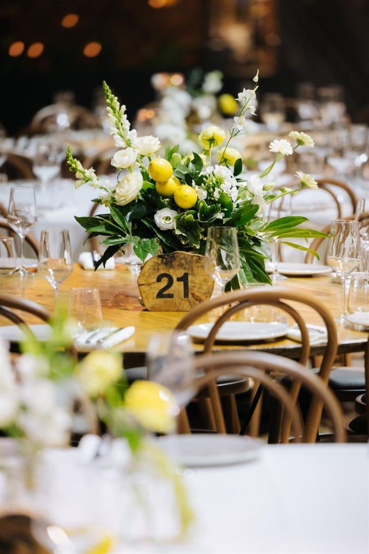 צילום: ווילו רוטר