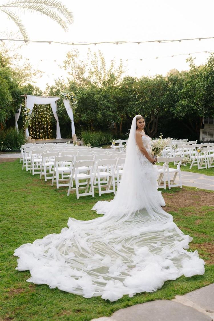 צילום: ווילו רוטר