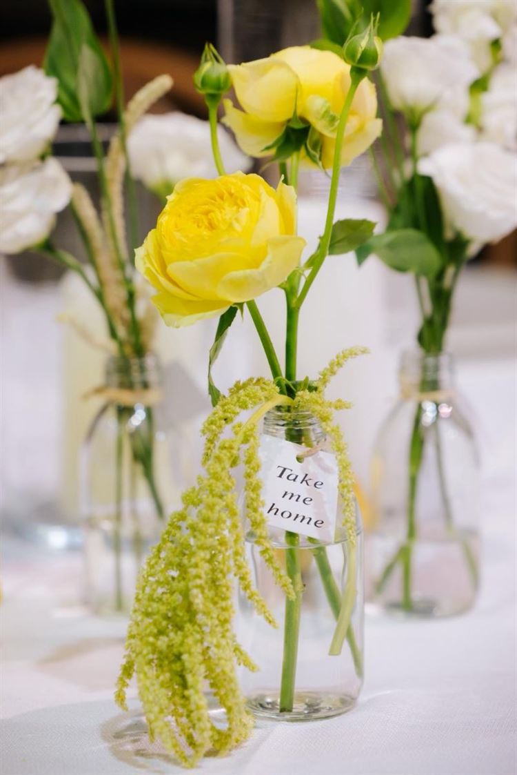 צילום: ווילו רוטר