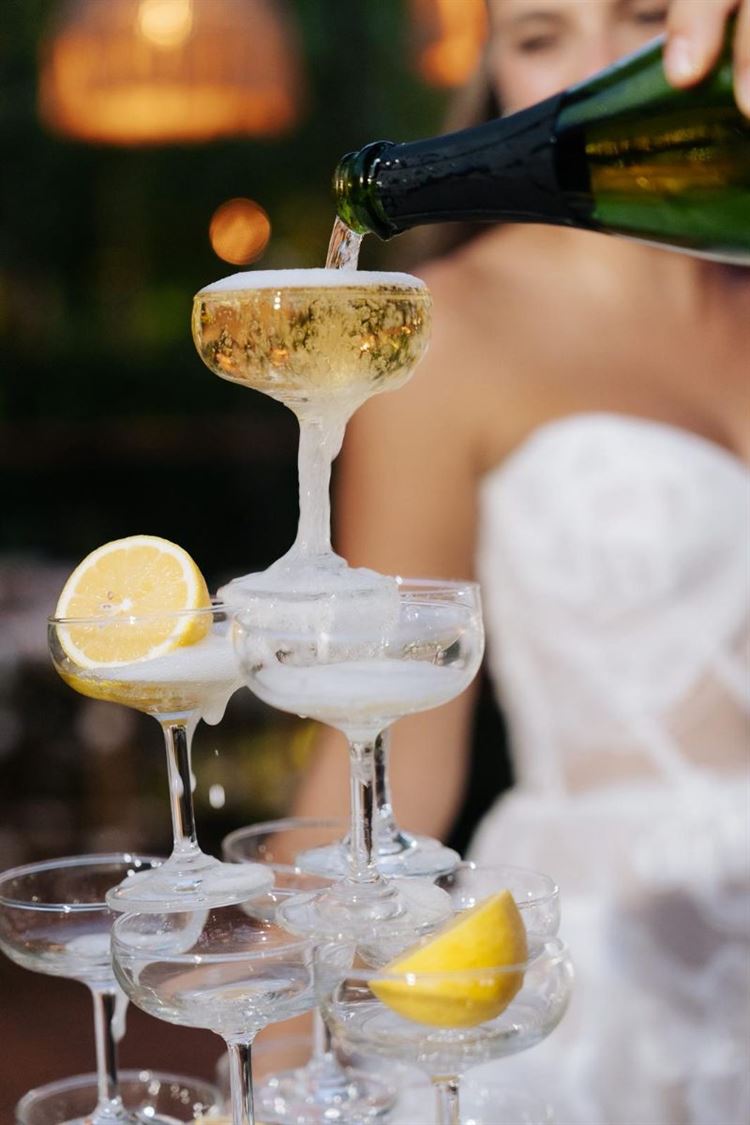 צילום: ווילו רוטר