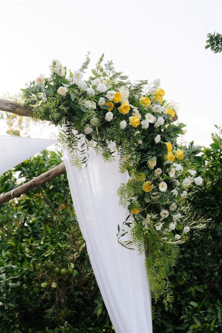 צילום: ווילו רוטר