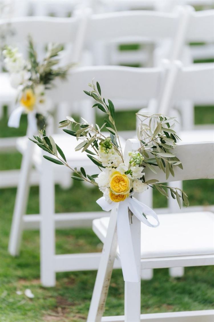 צילום: ווילו רוטר