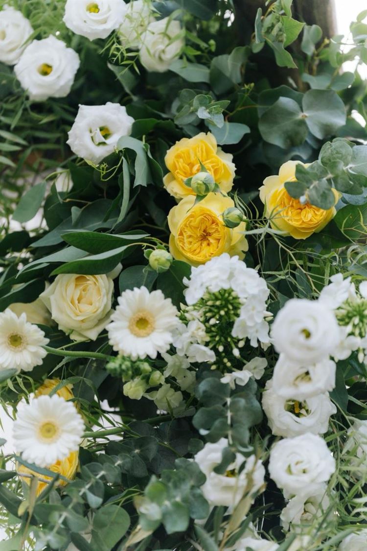 צילום: ווילו רוטר