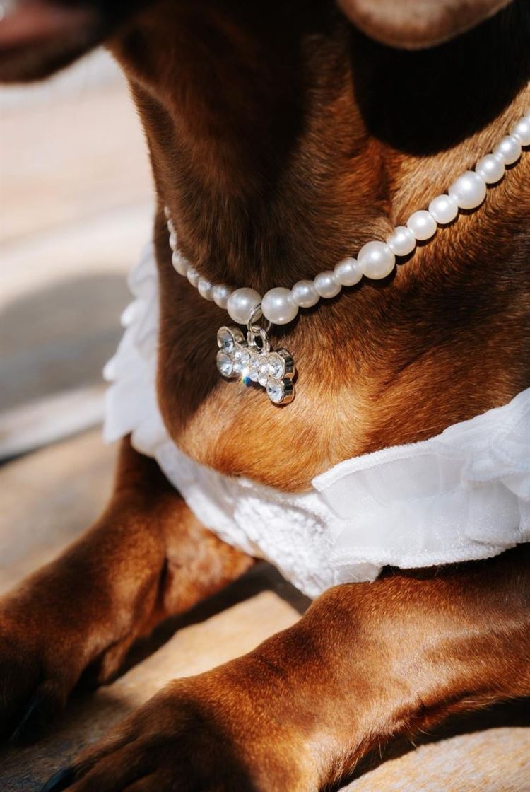 צילום: ווילו רוטר