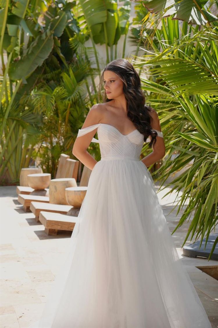 צילום: אלון אנקונינה