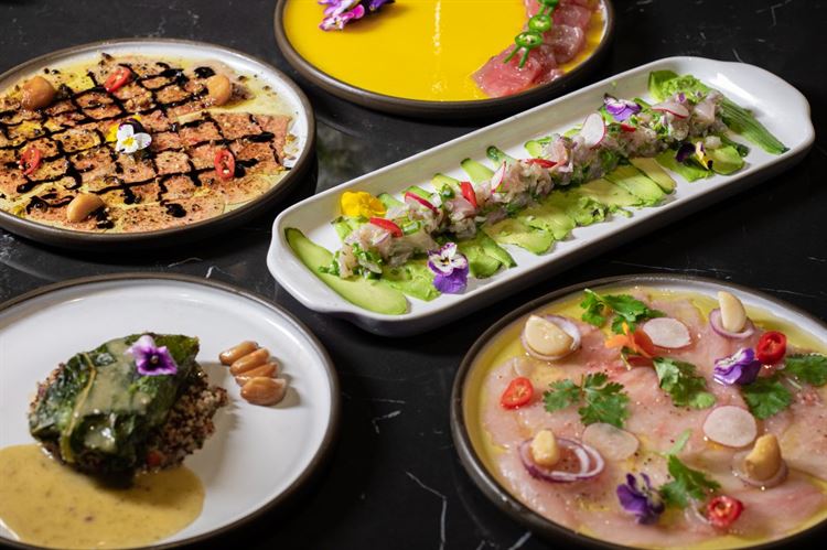 צילום: וואלה מזל טוב