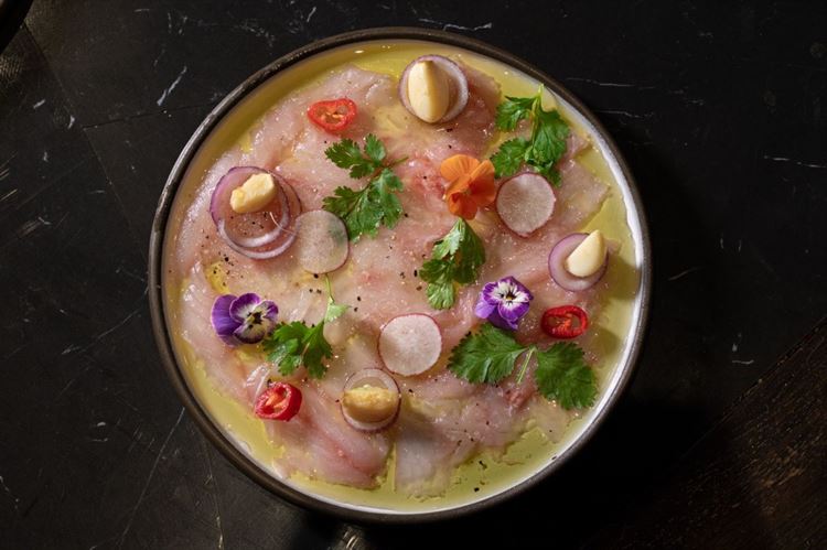 צילום: וואלה מזל טוב