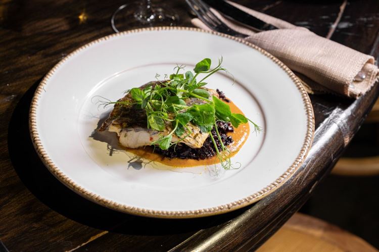 צילום: וואלה מזל טוב