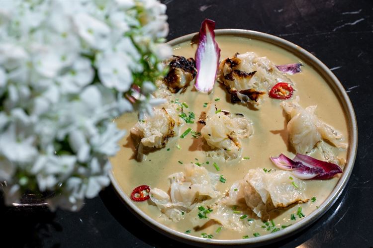 צילום: וואלה מזל טוב