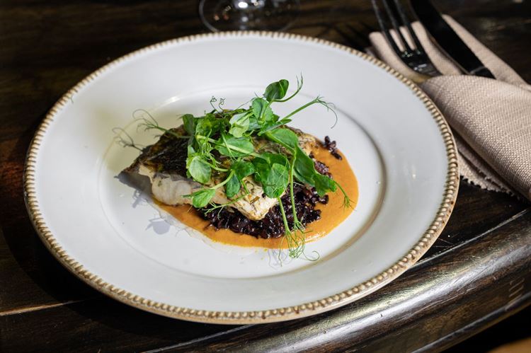 צילום: וואלה מזל טוב