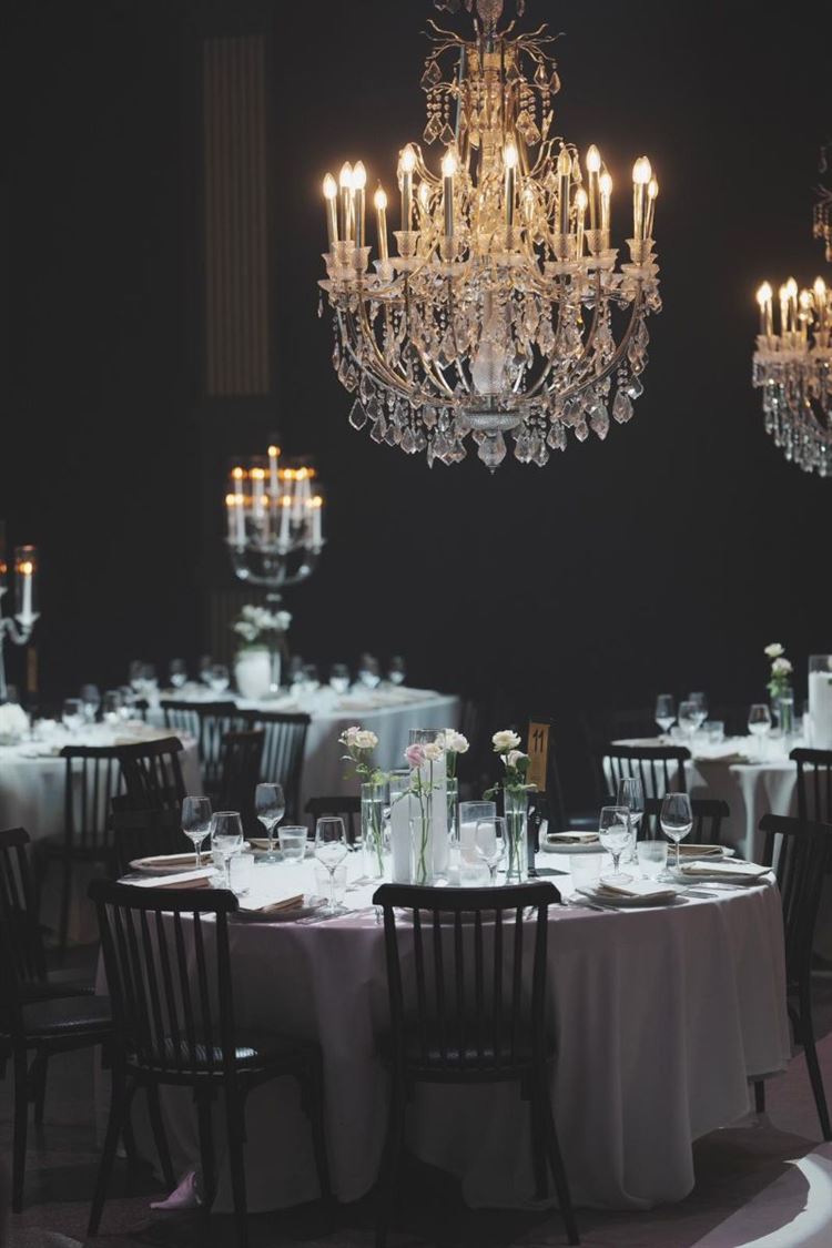 צילום: שלומי זנאתי