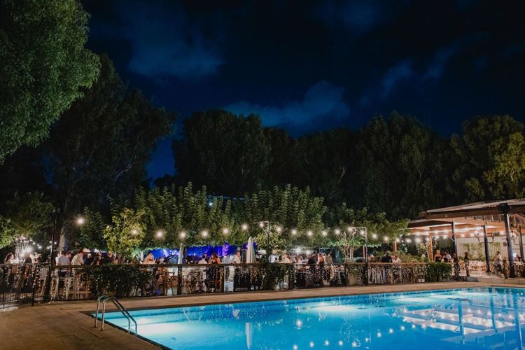 צילום: אלי ראול