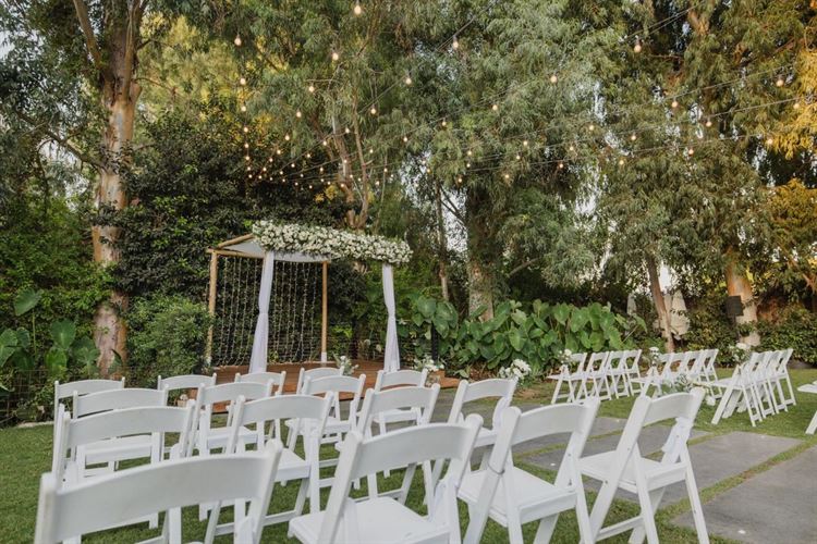 צילום: אלי ראול