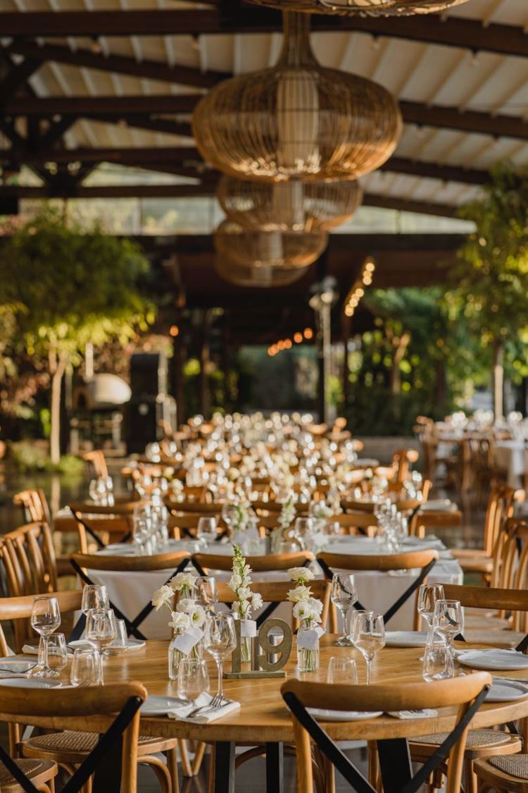 צילום: אלי ראול