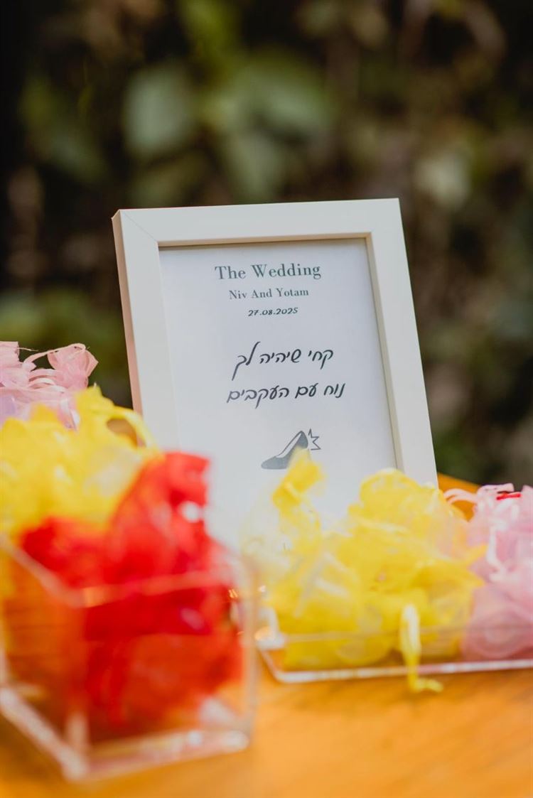 צילום: אלי ראול