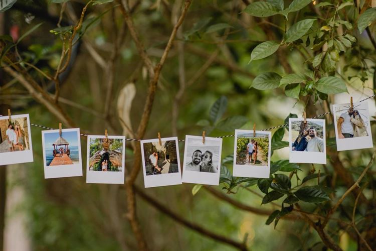 צילום: אלי ראול