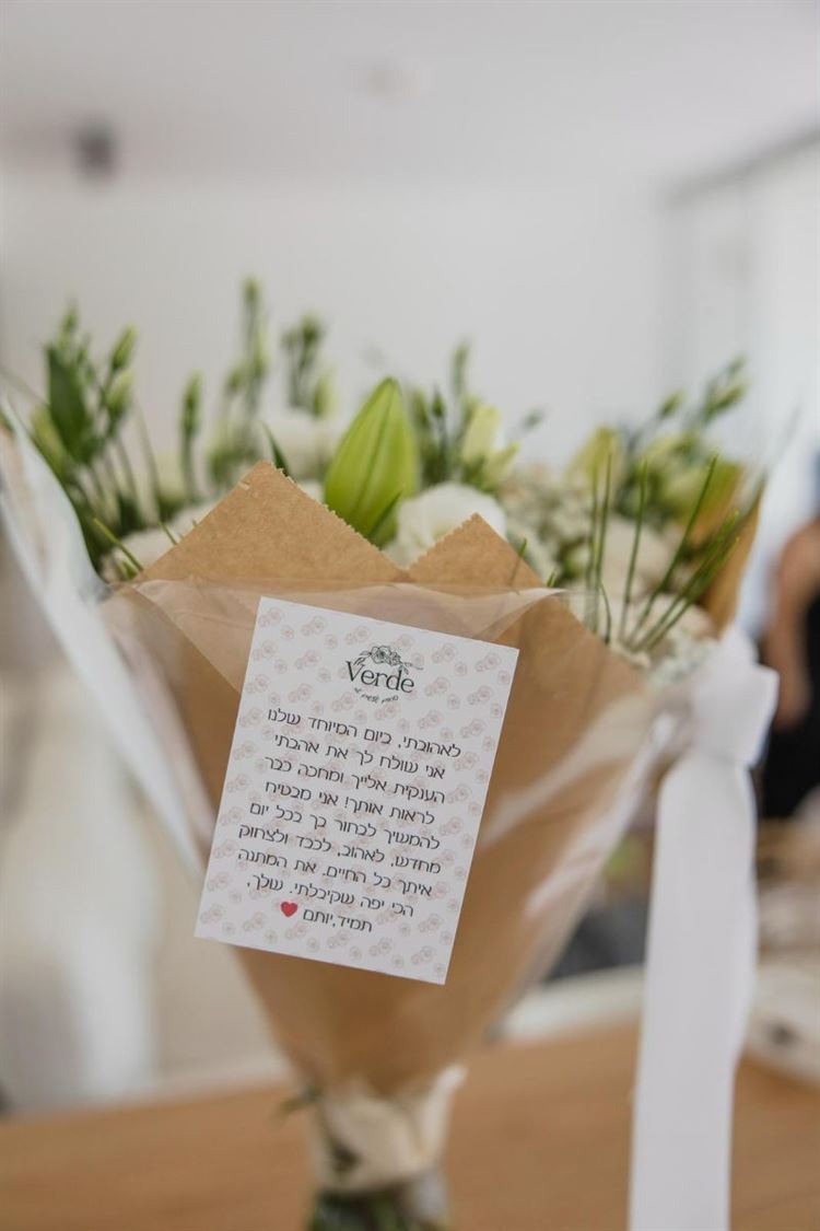 צילום: אלי ראול