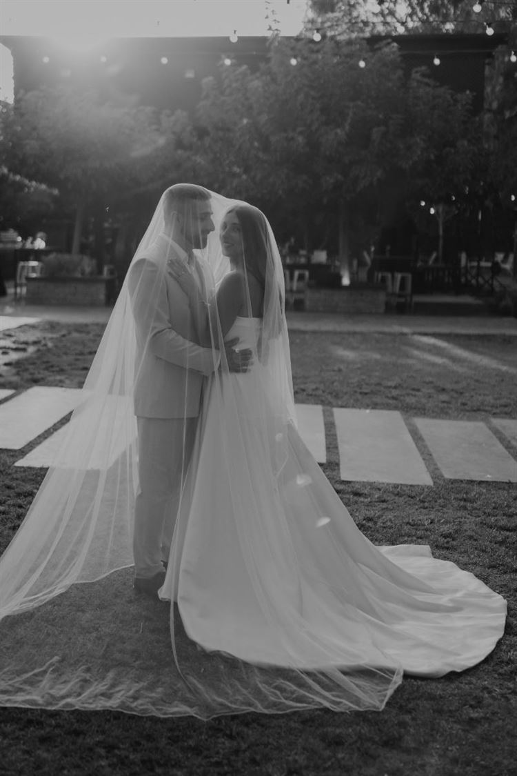 צילום: אלי ראול