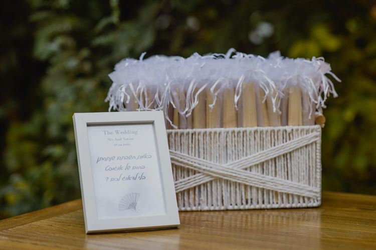 צילום: אלי ראול