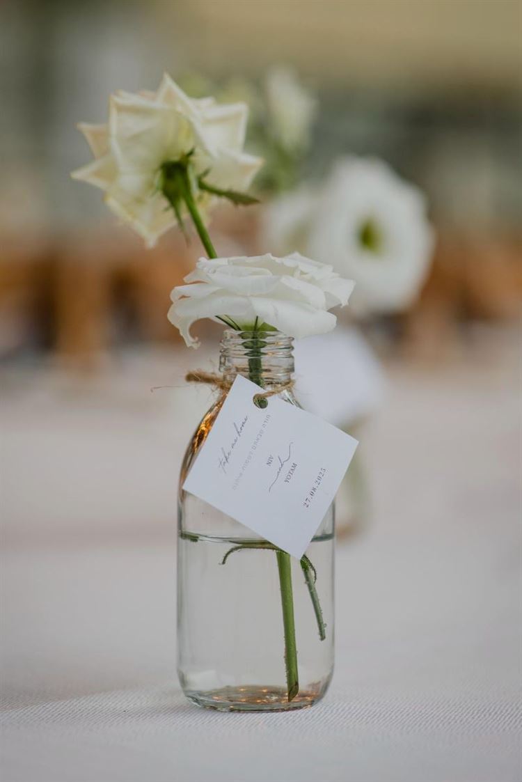 צילום: אלי ראול