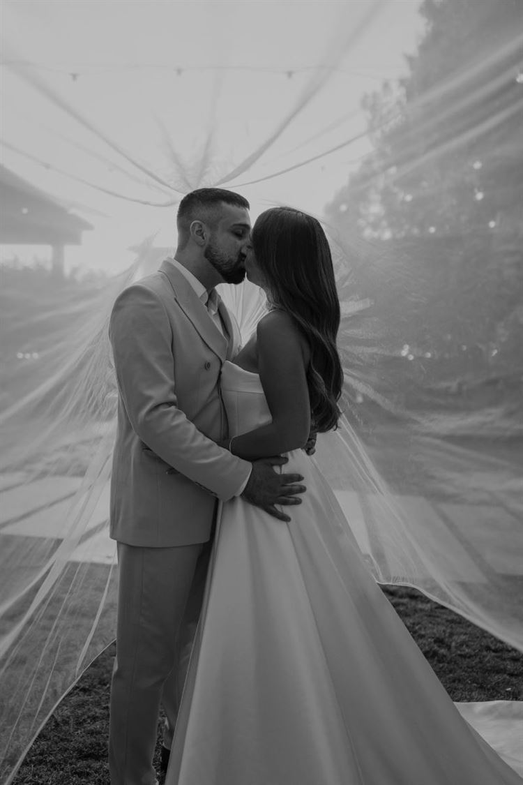 צילום: אלי ראול