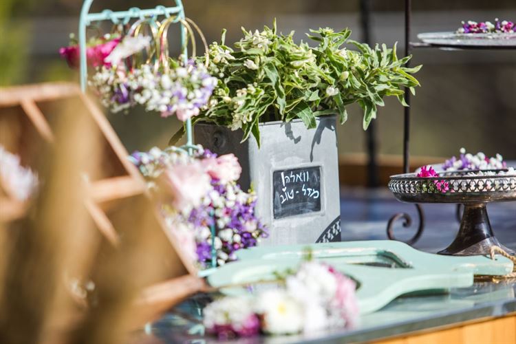 צילום: וואלה מזל טוב