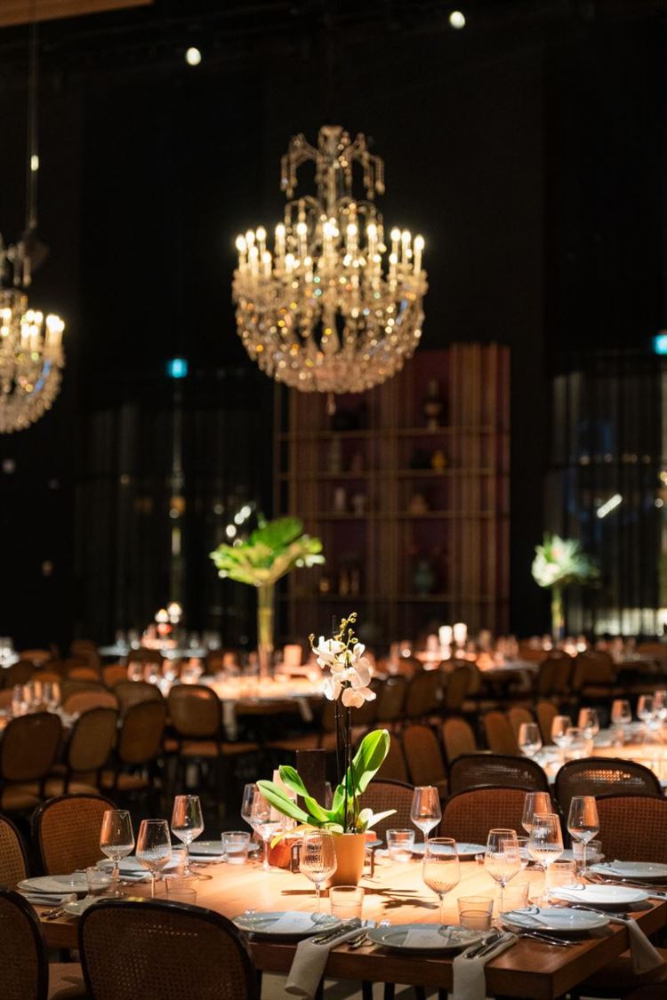 צילום: לירן לוינוביץ