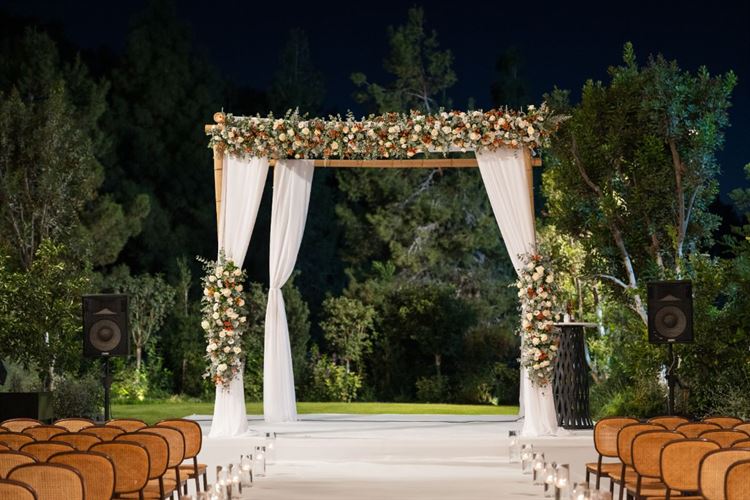 צילום: טרנד 54