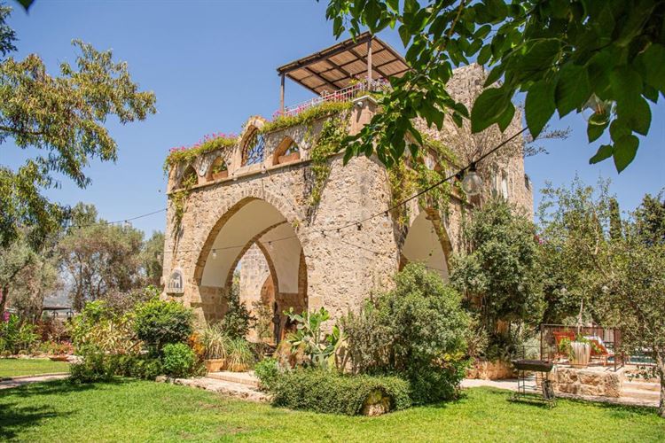 צילום: חיים אפריאט