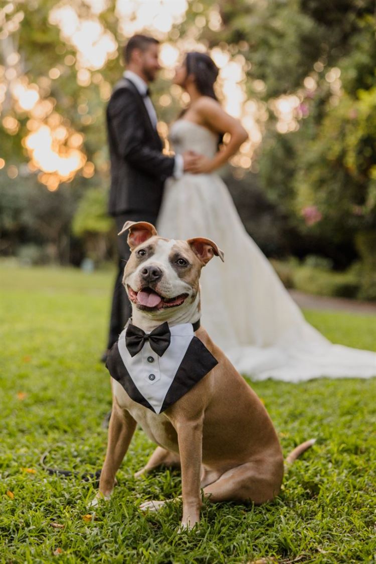 צילום: אלי ראול