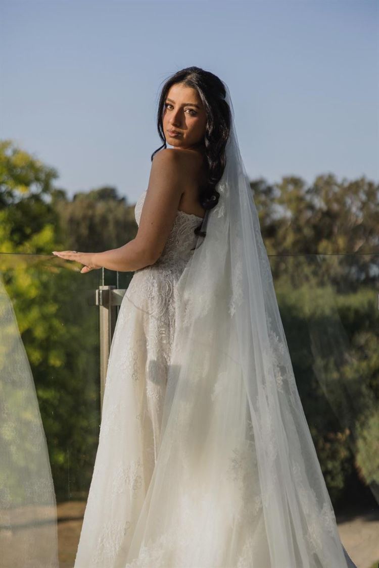 צילום: אלי ראול