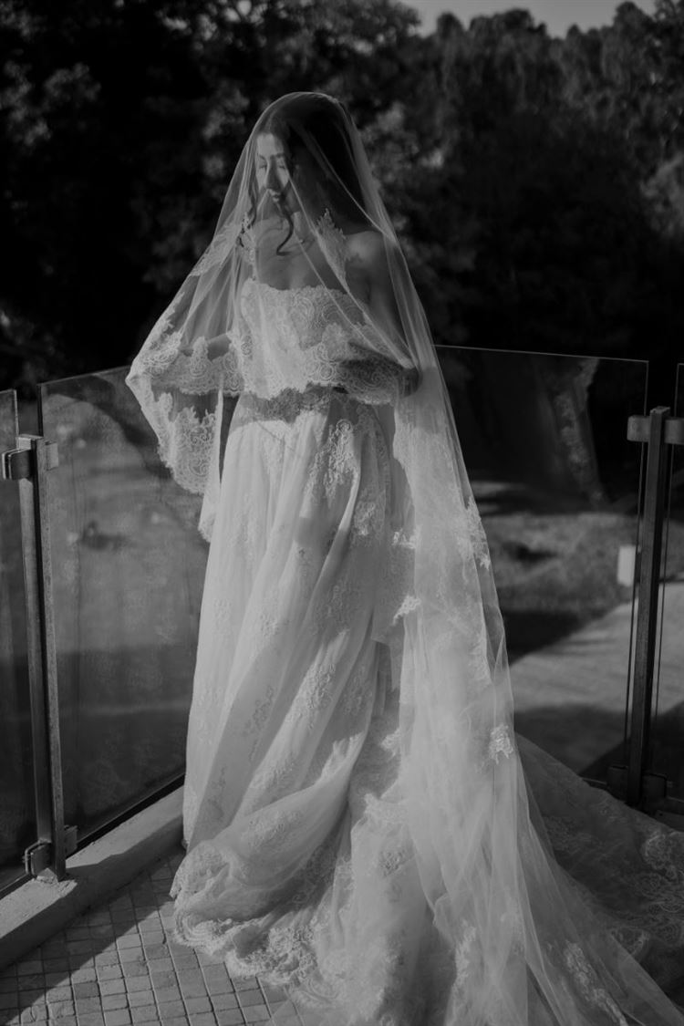 צילום: אלי ראול