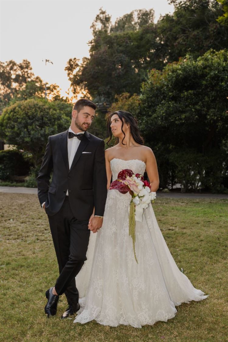 צילום: אלי ראול