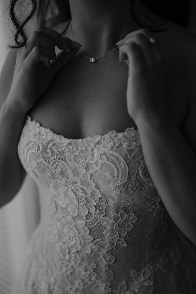 צילום: אלי ראול