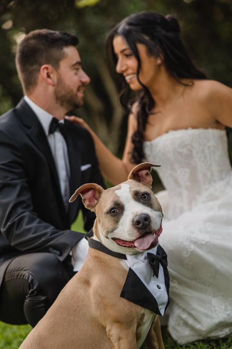 צילום: אלי ראול