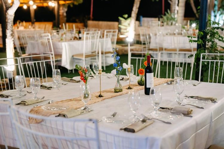 צילום: אהרון גדליה