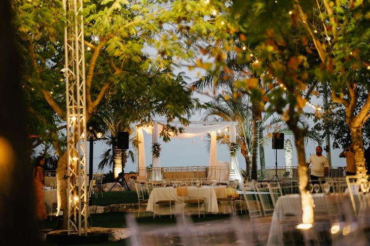 צילום: אהרון גדליה